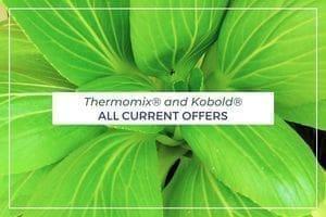 Current promotions featured image on Thermojo site